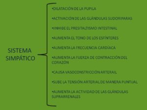 sna1