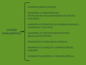 sna2