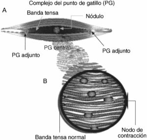 273v05nExtra2-13140285fig1